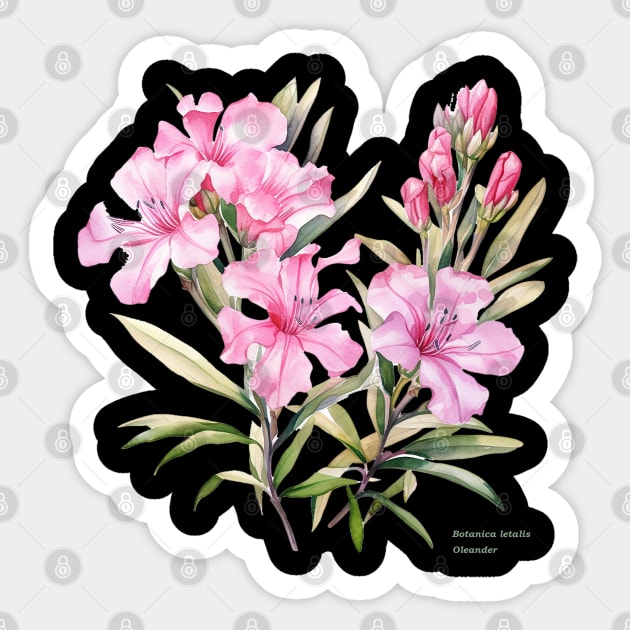 Botanica letalis - Oleander, beautiful flower, Botanical Sticker by OurCCDesign